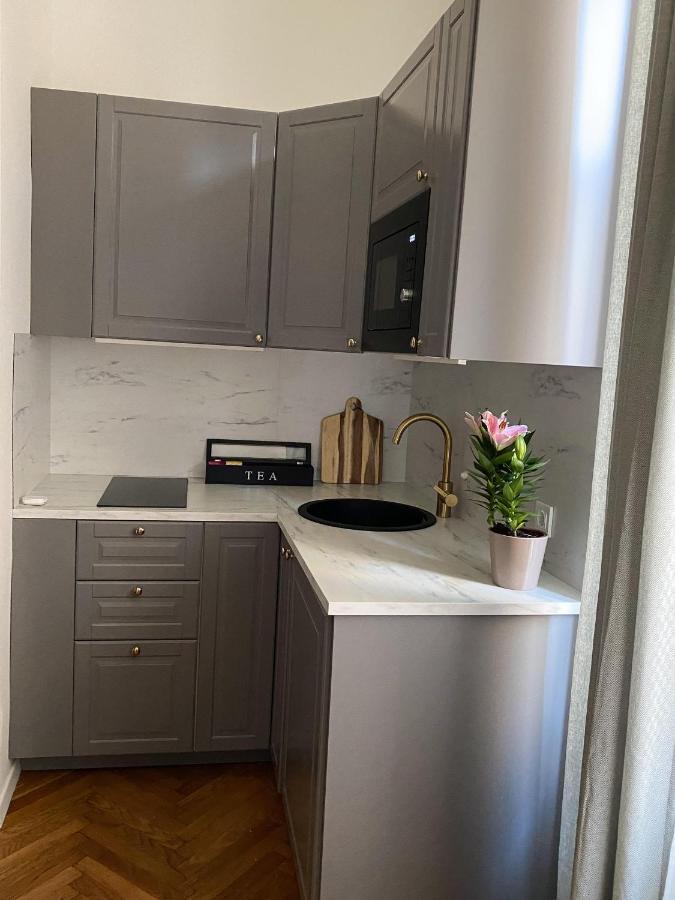זאגרב Apartments Park Zrinjevac מראה חיצוני תמונה